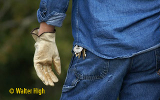 Bluegrass Controlled Demolition &mdash; small image 12
