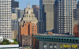 Paradigm Properties &mdash; small image 16